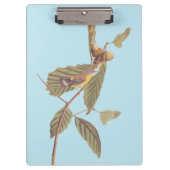 オードゥボンズスワインソンズウォーブラーオンオークブランチ クリップボード (正面)