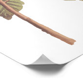 オードゥボンズスワインソンズウォーブラーオンオークブランチ ポスター (角)