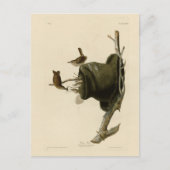 オードゥボンズバーズオブアメリカのハウスウォレン ポストカード (正面)