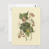 オードゥボンズマグノリアワーブラー ポストカード (正面/裏面)