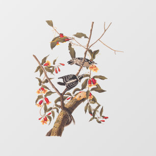 オードゥボンダウンウッドペッカーカップルと花 ウィンドウサイン