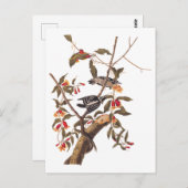 オードゥボンダウンウッドペッカーカップルと花 ポストカード (正面/裏面)