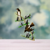 オードゥボンバード – オリーブ側フライキャッチャー アクリルサイン (ニュートラル)