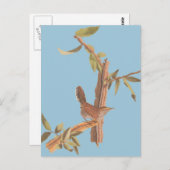 オードゥボンベウィックのウォーレン孤独なソングバードオンブランチ ポストカード (正面/裏面)