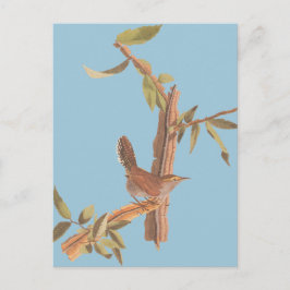 オードゥボンベウィックのウォーレン孤独なソングバードオンブランチ ポストカード