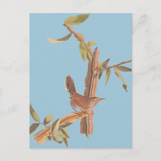 オードゥボンベウィックのウォーレン孤独なソングバードオンブランチ ポストカード (正面)
