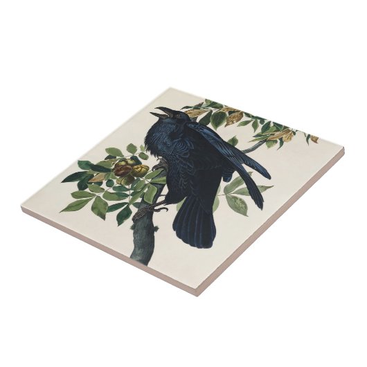 オードゥボンレイヴンクラシックバード絵を描ズ タイル (側面)