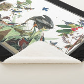 オードゥボン素晴らしブルーヘロンバーズシャーパブランケット シェルパブランケット (3/4)