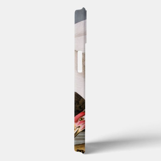 オードゥボン：大鶴 Case-Mate iPhoneケース (裏面 / 右)