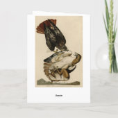 オードボンのアメリカの鳥からアカタカ カード (裏面)