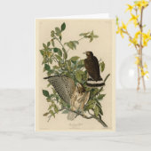 オードボンのアメリカの鳥から広い翼を持つタカ カード (黄色い花)