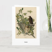 オードボンのアメリカの鳥から広い翼を持つタカ カード (裏面)