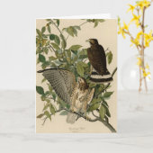 オードボンのアメリカの鳥から広い翼を持つタカ カード (黄色い花)