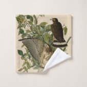 オードボンのアメリカの鳥から広い翼を持つタカ バスタオルセット (ウォッシュタオル)