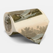 オードボンのアメリカの鳥から来た小さなサンドパイパー ネクタイ (ロール)