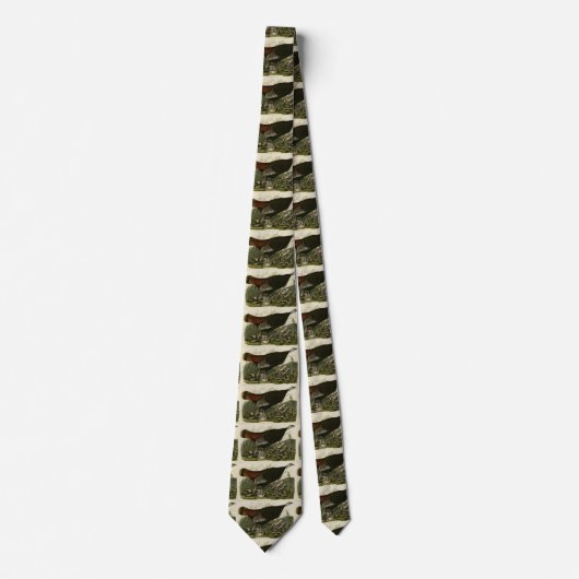 オードボンのアメリカの鳥から来た雌野鳥 ネクタイ (正面)