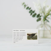 オードボンのアメリカの鳥から来た雌野鳥 名刺 (スタンド正面)