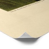 オードボンのアメリカの鳥から生まれたコメダカ ポスター (角)