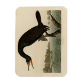 オードボンのアメリカの鳥から生まれたフロリダの鵜 マグネット (縦)