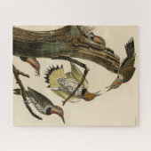 オードボンのアメリカの鳥たちから北のちらつき ジグソーパズル (横)