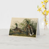 オードボンのアメリカの鳥のマラードアヒル カード (黄色い花)