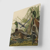 オードボンのアメリカの鳥のマラードアヒル スクエア壁時計 (傾斜)