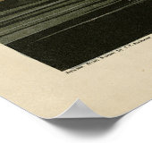 オードボンのアメリカの鳥のマラードアヒル ポスター (角)