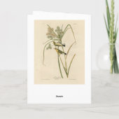 オードボンのアメリカの鳥の大草原のイラクサ カード (裏面)