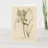 オードボンのアメリカの鳥の大草原のイラクサ カード (正面)