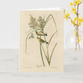 オードボンのアメリカの鳥の大草原のイラクサ カード (黄色い花)