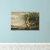 オードボンのアメリカの鳥類から生まれたハシの長いカレイ キャンバスプリント (インサイチュ (ウッドフロア))