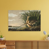 オードボンのアメリカの鳥類から生まれたハシの長いカレイ キャンバスプリント (インサイチュ (リビング))