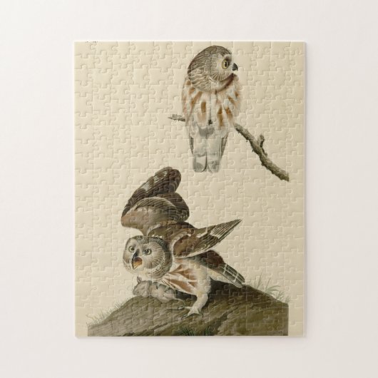 オードボンのアメリカの鳥 ジグソーパズル (縦)