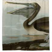 オードボンのアメリカショーのブラウンペリカン シャワーカーテン (正面)