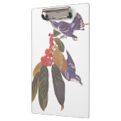 オードボンのクルーリアンウォーブラーとクマの果実 クリップボード (左)