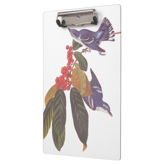 オードボンのクルーリアンウォーブラーとクマの果実 クリップボード (左)