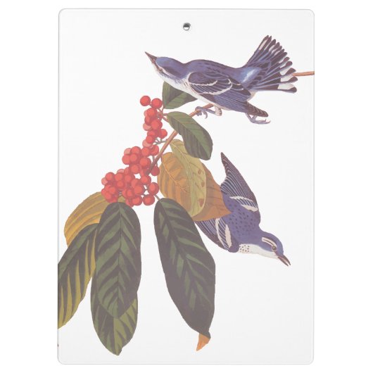 オードボンのクルーリアンウォーブラーとクマの果実 クリップボード (裏面)