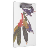 オードボンのクルーリアンウォーブラーとクマの果実 クリップボード (右)