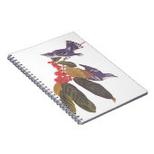 オードボンのクルーリアンウォーブラーとクマの果実 ノートブック (右側)