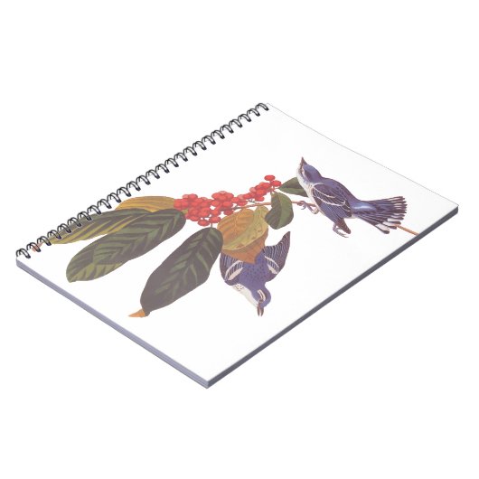 オードボンのクルーリアンウォーブラーとクマの果実 ノートブック (左側)