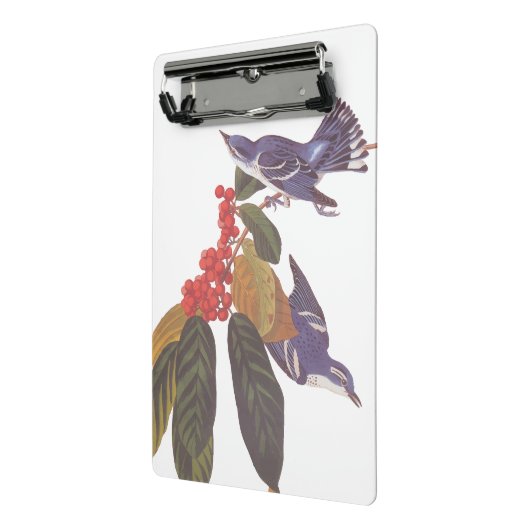 オードボンのクルーリアンウォーブラーとクマの果実 ミニクリップボード (アングル2)