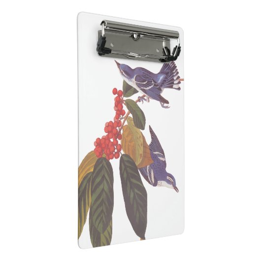 オードボンのクルーリアンウォーブラーとクマの果実 ミニクリップボード (アングル)