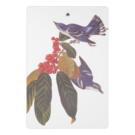 オードボンのクルーリアンウォーブラーとクマの果実 ミニクリップボード (裏面)