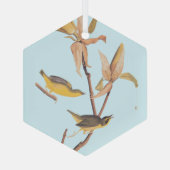 オードボンのケンタッキー・ウォーブラーズ・バードとクモ ガラスオーナメント (裏面)