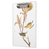 オードボンのケンタッキー・ウォーブラーズ・バードとクモ クリップボード (左)