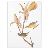 オードボンのケンタッキー・ウォーブラーズ・バードとクモ クリップボード (裏面)