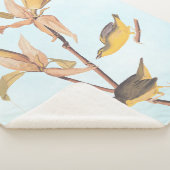 オードボンのケンタッキー・ウォーブラーズ・バードとクモ シェルパブランケット (3/4)