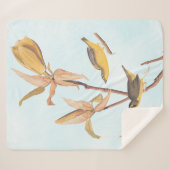 オードボンのケンタッキー・ウォーブラーズ・バードとクモ シェルパブランケット (正面(横))