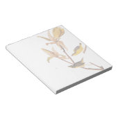 オードボンのケンタッキー・ウォーブラーズ・バードとクモ ノートパッド (アングル)