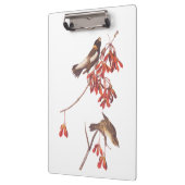 オードボンのコメの束ねた鳥やボリンクの鳥 クリップボード (左)